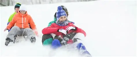 To kælke er taget i brug i den nyfaldne sne